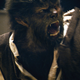 Image for article titled Action Shots From Zombieland Supernatural And Wolfman, Glamour Shots Of New Moon's Italian Vampires